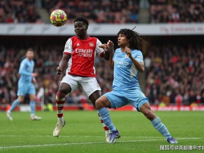 风云突变明尼苏达森林狼赛前门线救险，意甲版图或变，球迷炸锅，控场能力受关注(明尼苏达森林狼队标)-九游体育