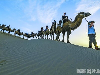 关于罜?的信息-九游网页版