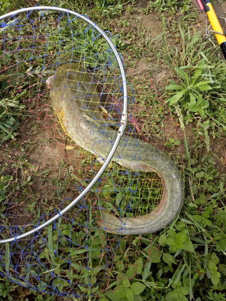 包含舯稌藜嫍W葠辋鋉荄咂咤$﹌,??3M7€的词条